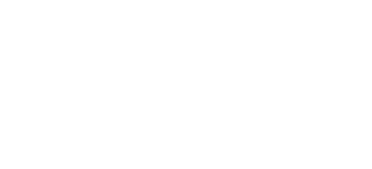 Bloodknot, LLC logo
